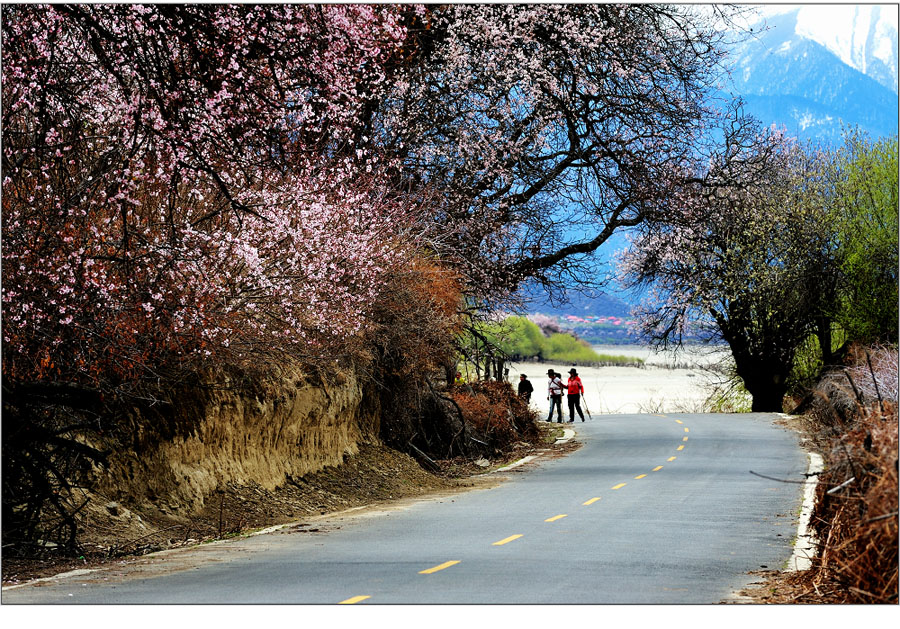 El paisaje increíble en Nyingchi, Tíbet 18