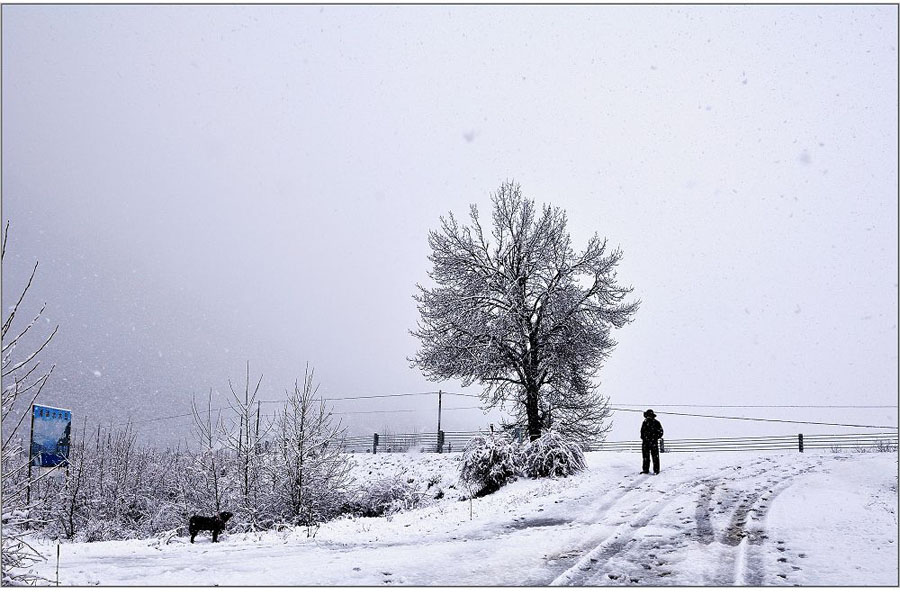 El paisaje increíble en Nyingchi, Tíbet 23