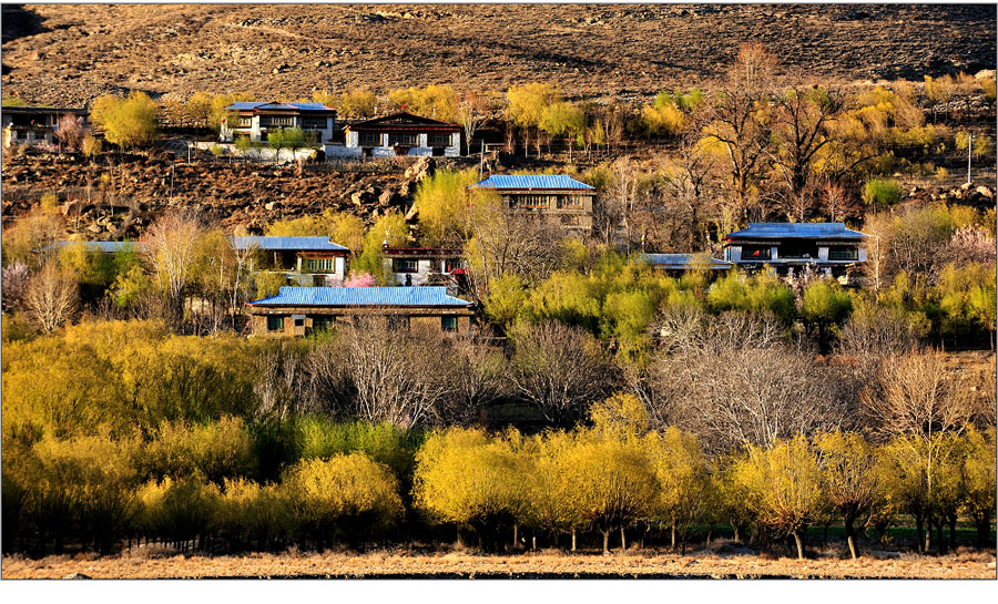 El paisaje increíble en Nyingchi, Tíbet 25