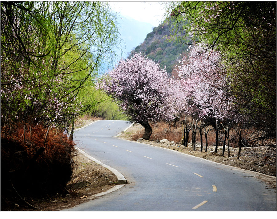 El paisaje increíble en Nyingchi, Tíbet 27