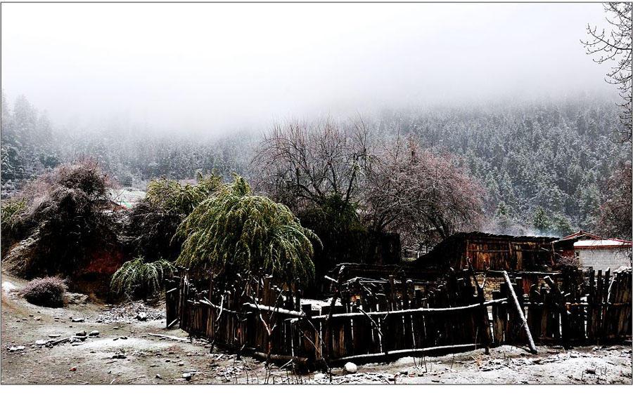 El paisaje increíble en Nyingchi, Tíbet 29