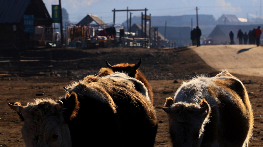 Increíble Aldea Hemu, Xinjiang 16