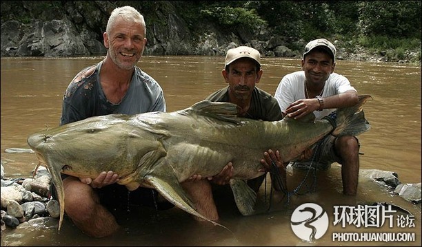 Animales extraños 5