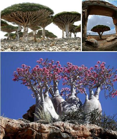 Diez lugares semejantes a tierras extraterrestres 2