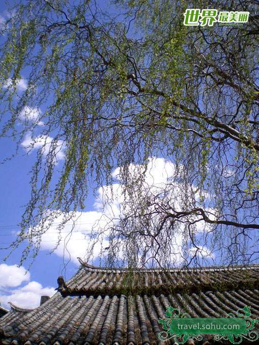 Paisaje de primavera en Lijiang 3