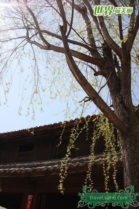 Paisaje de primavera en Lijiang 5