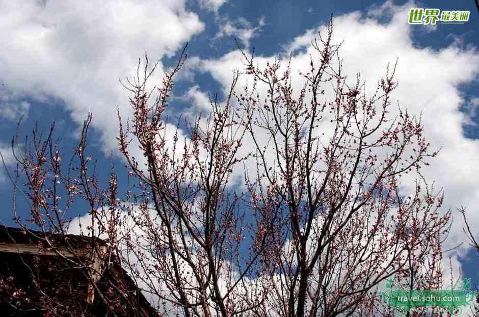 Paisaje de primavera en Lijiang 9