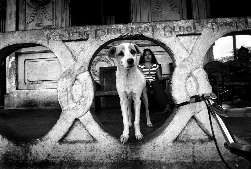 Viviendo con la muerte - &apos;Pisos baratos&apos; en el cementerio