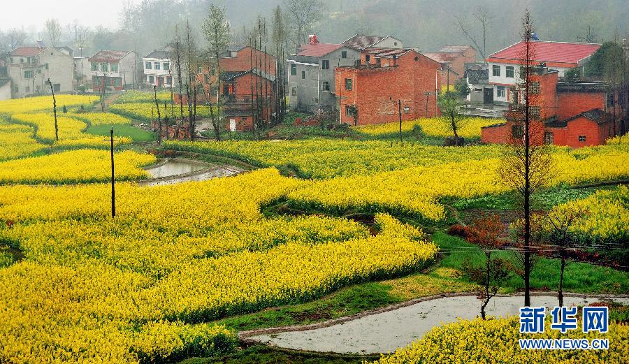 Increíble paisaje de terrazas en la ciudad de Ankang 3