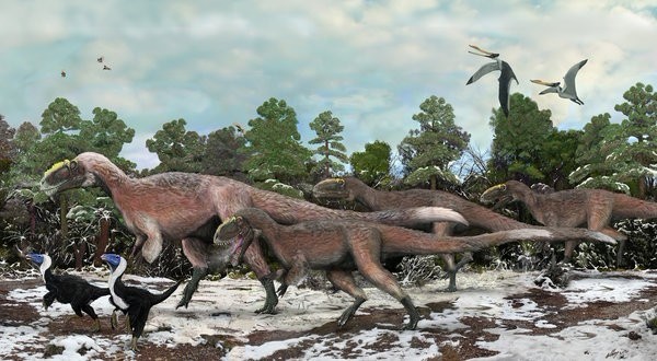 dinosaurio, ,China, fósil, ciencia, pluma