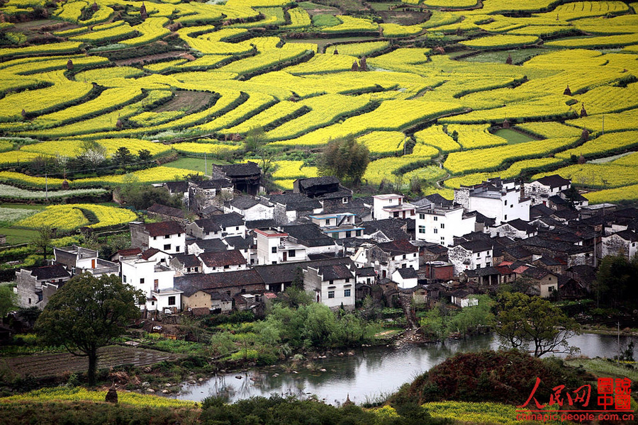 Escena hermosa de primavera - Wuyuan 2