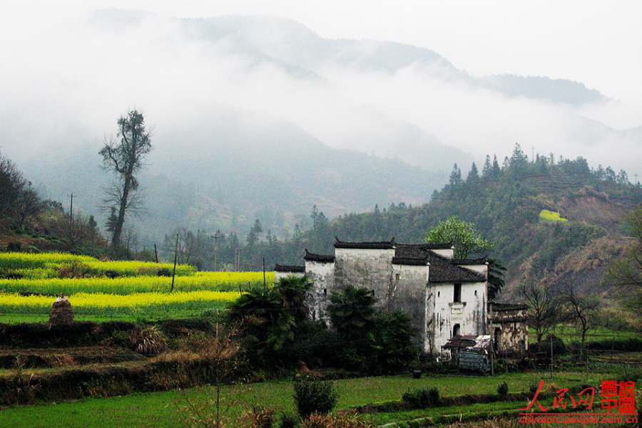 Escena hermosa de primavera - Wuyuan 3