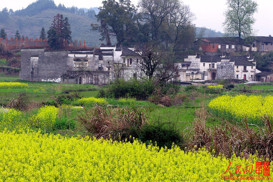 Escena hermosa de primavera - Wuyuan 6