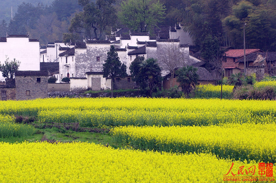 Escena hermosa de primavera - Wuyuan 7