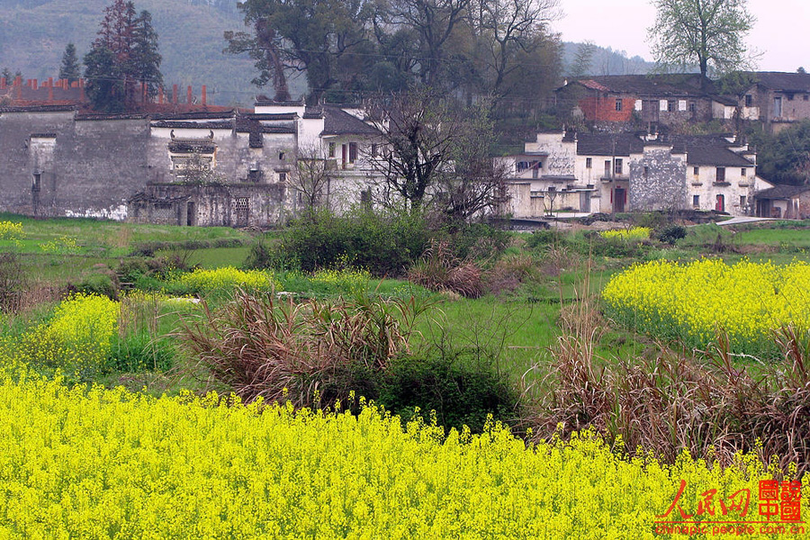 Escena hermosa de primavera - Wuyuan 8