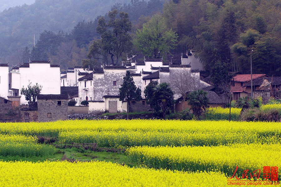 Escena hermosa de primavera - Wuyuan 9