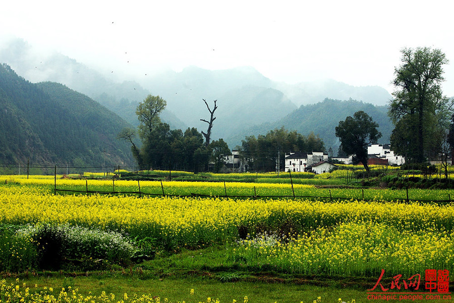 Escena hermosa de primavera - Wuyuan 10