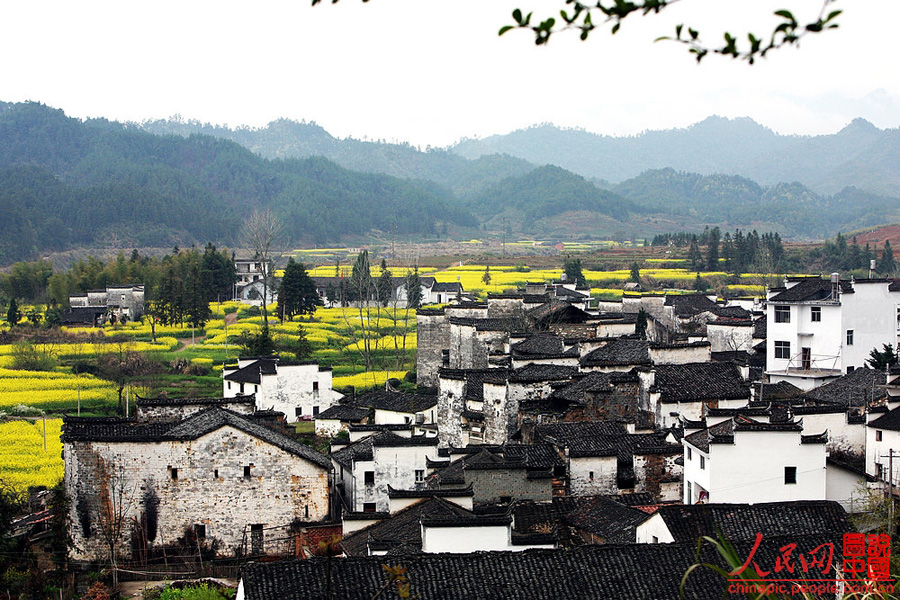 Escena hermosa de primavera - Wuyuan 11