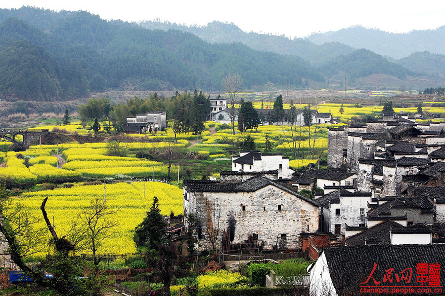 Escena hermosa de primavera - Wuyuan 12