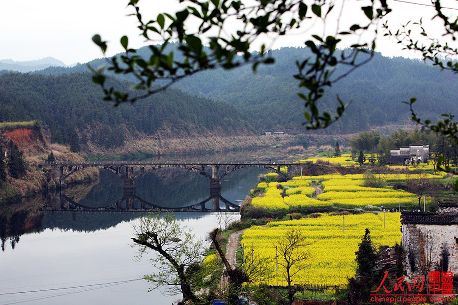 Escena hermosa de primavera - Wuyuan 13