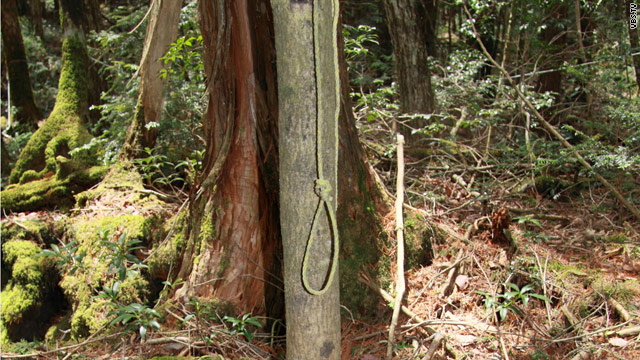 Bosques japoneses de suicidio: se encuentran cada año 100 cadáveres en Monte Fuji