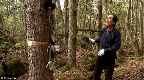 Bosques japoneses de suicidio: se encuentran cada año 100 cadáveres en Monte Fuji