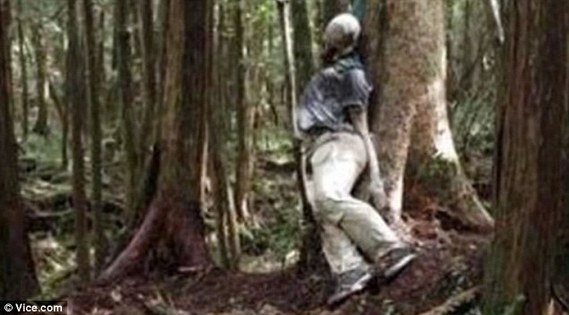 Bosques japoneses de suicidio: se encuentran cada año 100 cadáveres en Monte Fuji