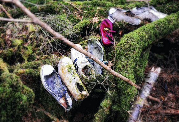 Bosques japoneses de suicidio: se encuentran cada año 100 cadáveres en Monte Fuji