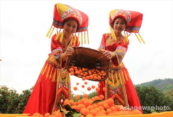 Temporada de kumquat llega a Liuzhou, Guangxi 1