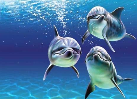 ¿Delfines son el origen del ser humano? ¿Delfines son el origen del ser humano?