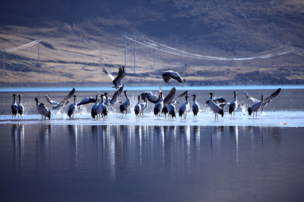 18 Reservas Naturales del Tíbet 6