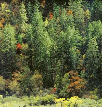 18 Reservas Naturales del Tíbet 12