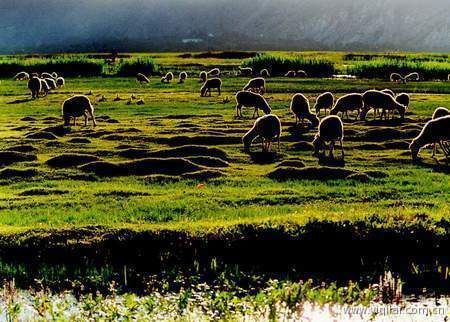 18 Reservas Naturales del Tíbet 22