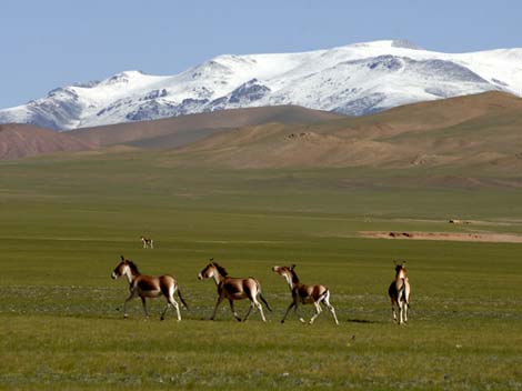 18 Reservas Naturales del Tíbet 25
