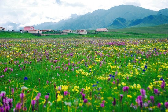 Las 10 praderas más hermosas de China 7