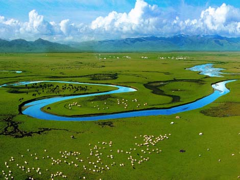 Las 10 praderas más hermosas de China 8