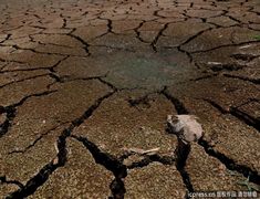La sequía deja a 200.000 sedientos en Guangxi