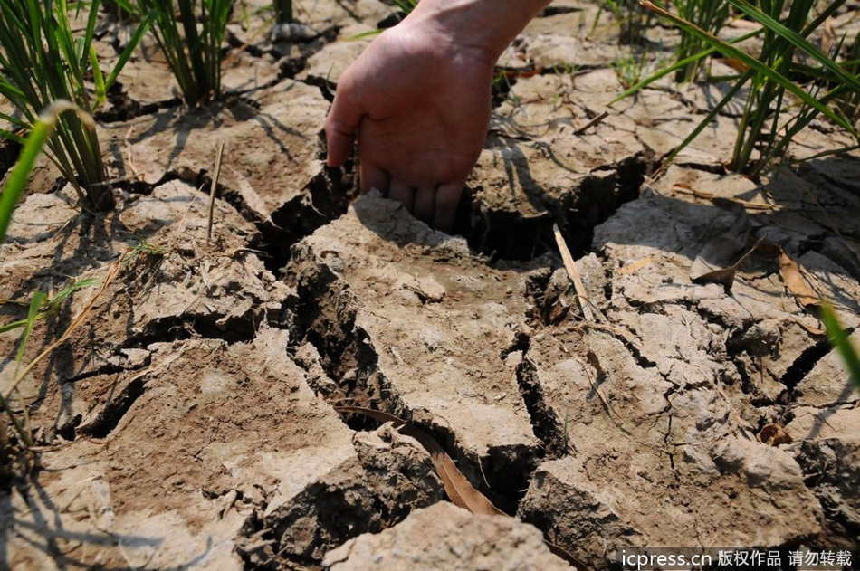 La sequía deja a 200.000 sedientos en Guangxi 3