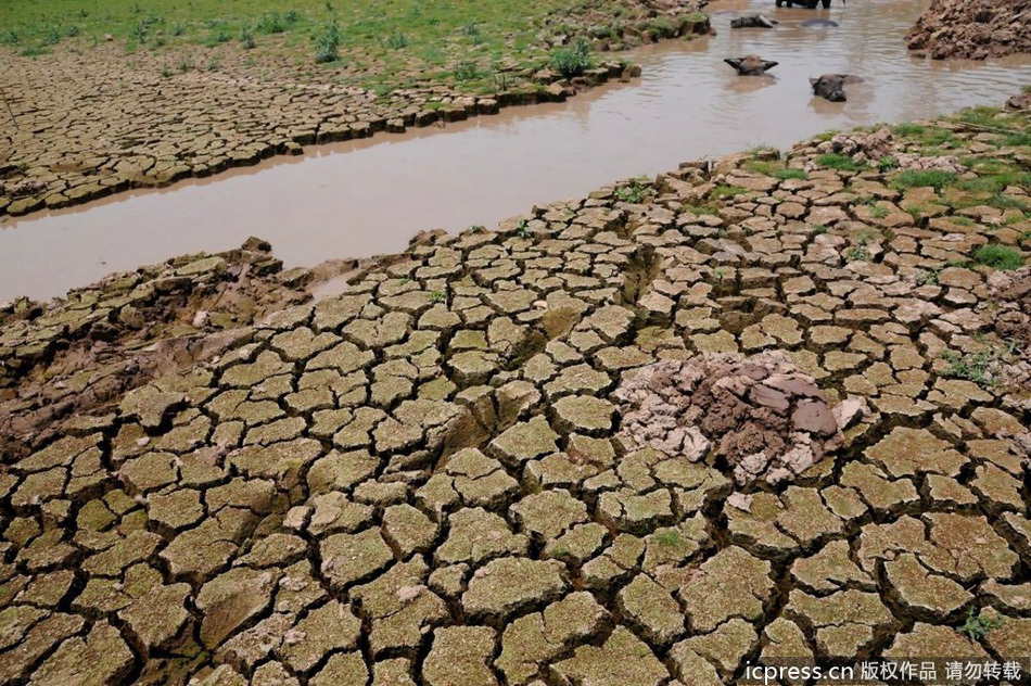 La sequía deja a 200.000 sedientos en Guangxi 5