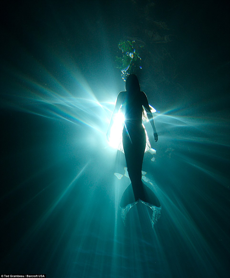Danza entre sirena y ballena