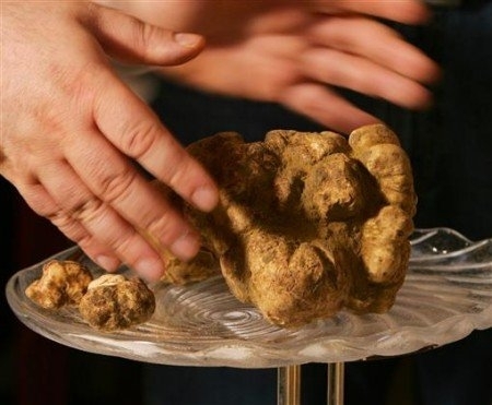 Gastronomías más caras del mundo--trufa alba