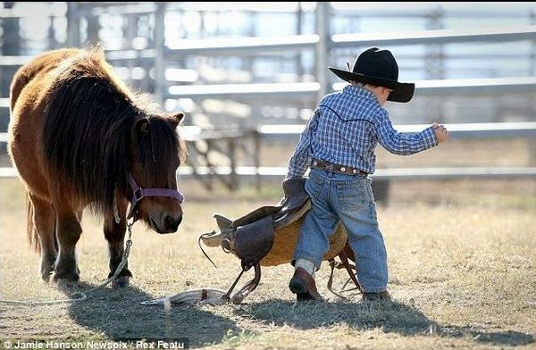 Royce Gill, tiene 2 años y es el vaquero más pequeño del mundo