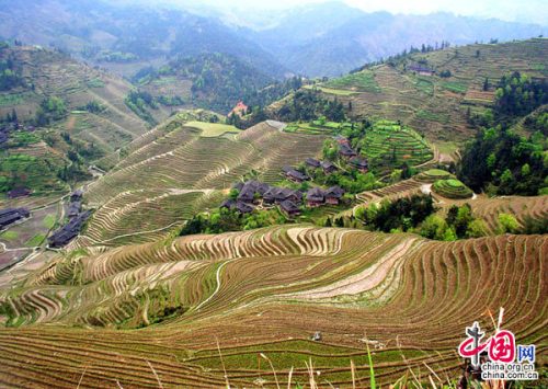 Principales 10 atracciones en Guangxi 7
