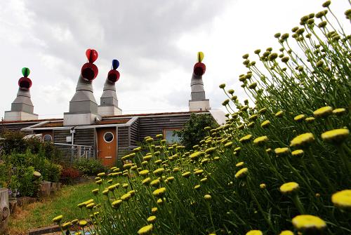 Visita a la comunidad residencial neutral de carbón en Beddington, Reino Unido