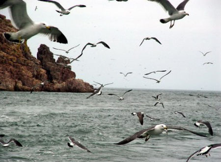 Ocho islas chinas de veraneo 12