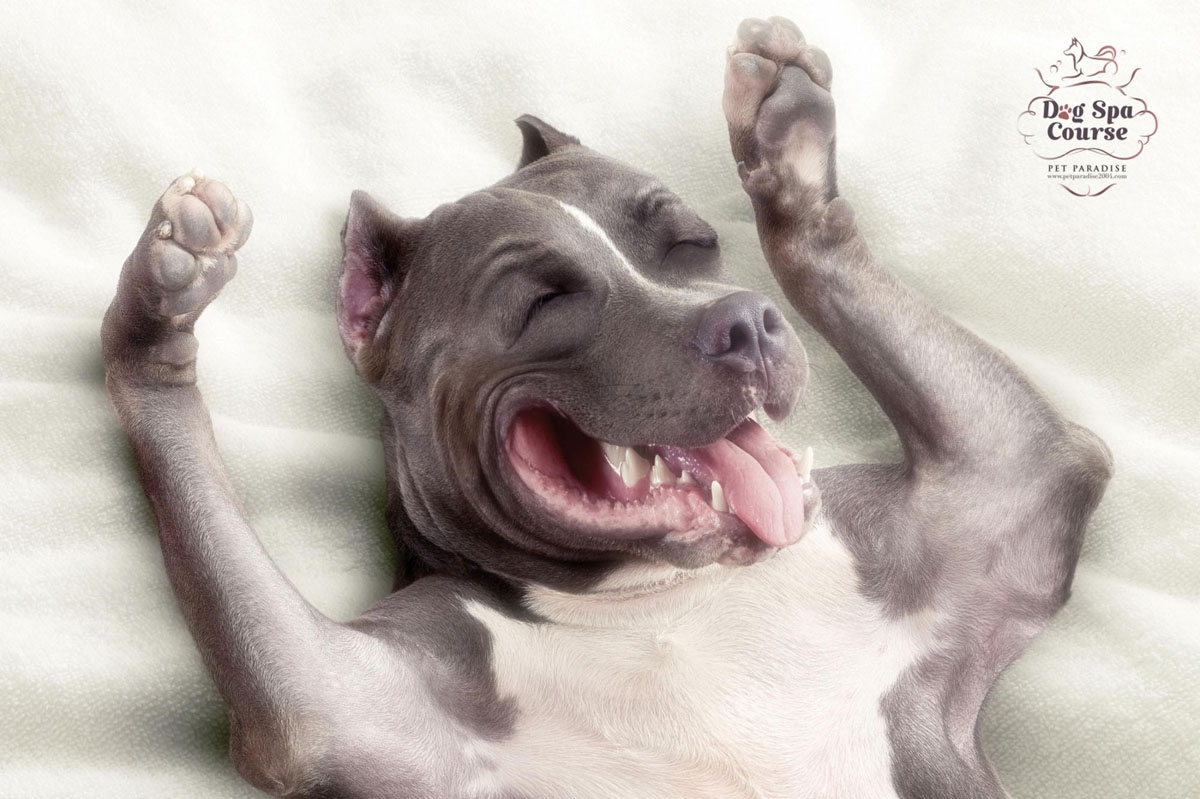 Anuncios impresos excelentes de 2012