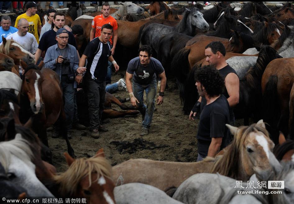 ‘Rapa das bestas’, un espectáculo único en Galicia 24