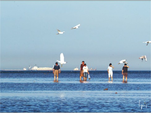 Escapadas a las playas de Beijing: Justo a tiempo para el verano 7