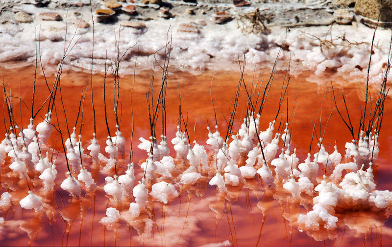 ¡Horrible! Lago de ‘sangre’ en Camargue, Francia