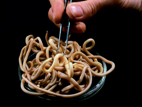 Nematodos